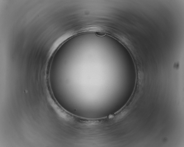 X0000111661426200907171558