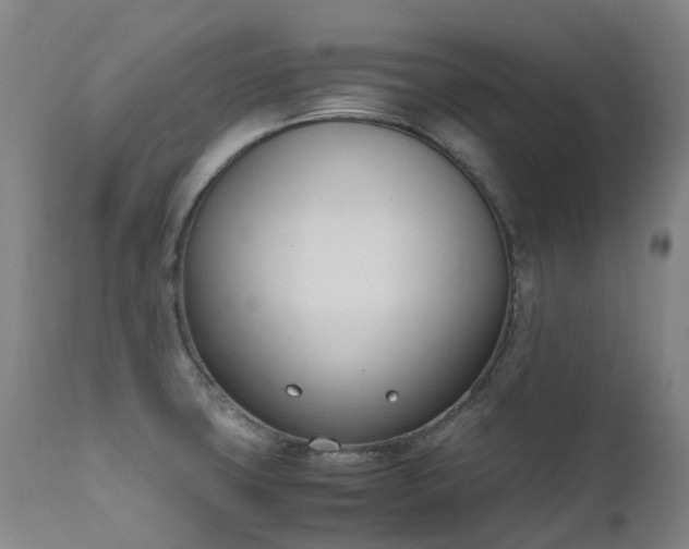 X0000111661427200907171558