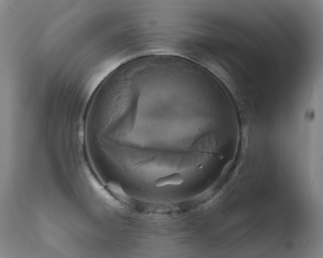 X0000111661428200907171558