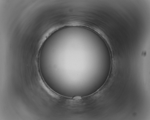 X0000111661429200907171558