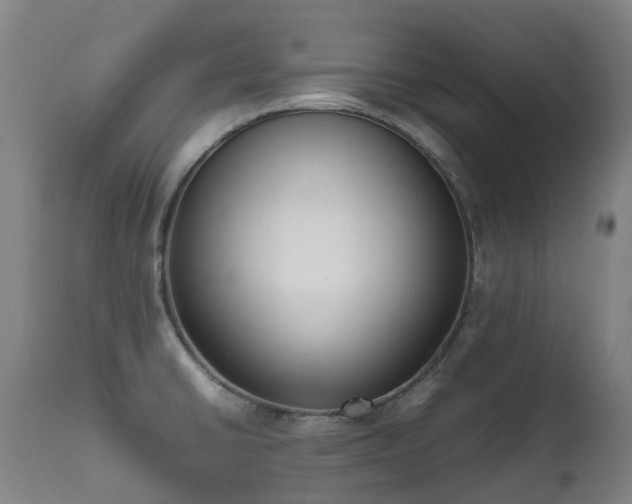 X0000111661430200907171558