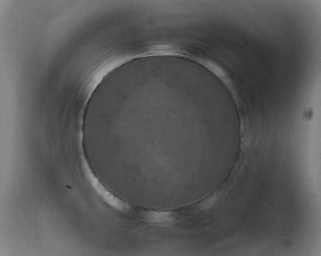 X0000111661431200907171558