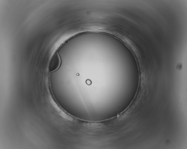 X0000111661432200907171558
