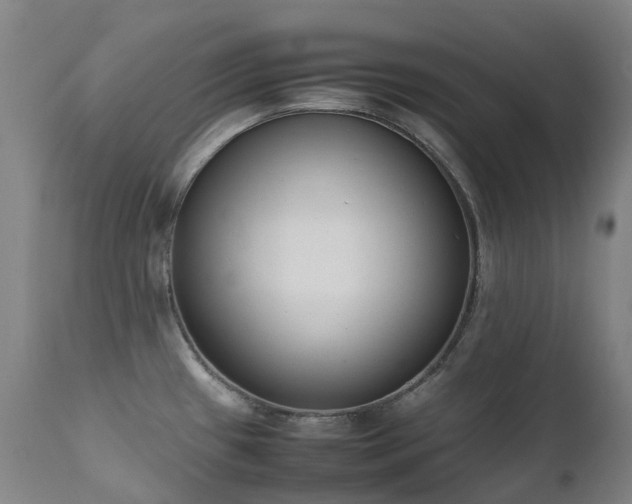 X0000111661433200907171558