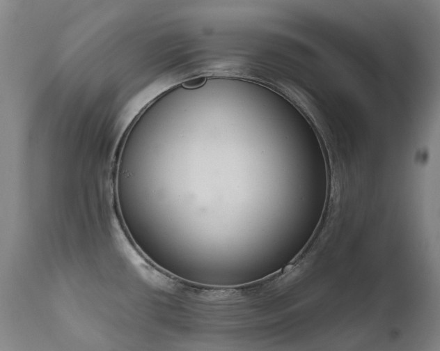 X0000111661434200907171558