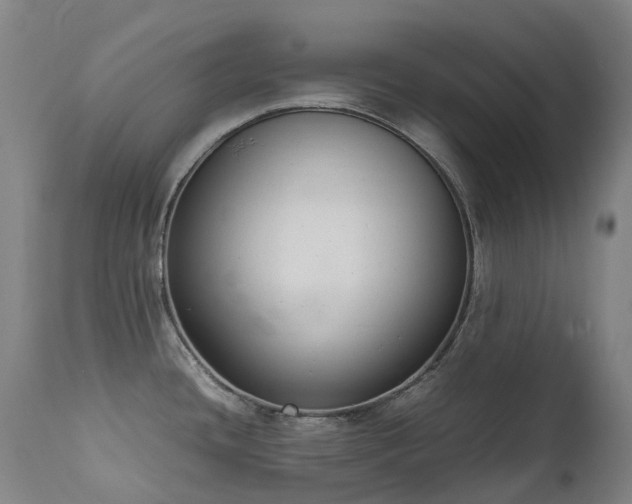 X0000111661436200907171558