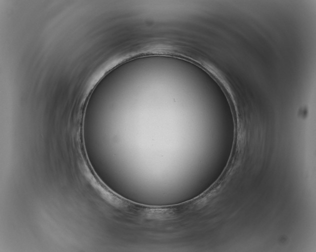 X0000111661437200907171558