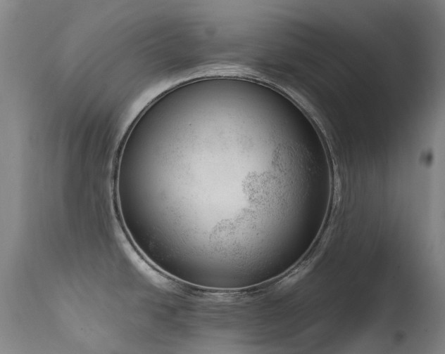 X0000111661438200907171558