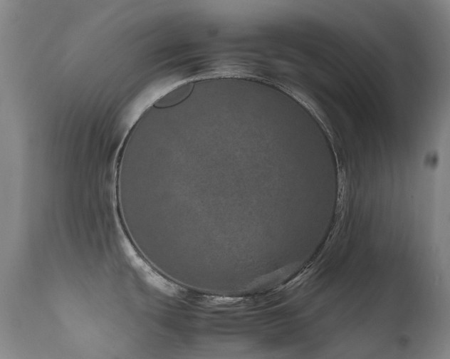 X0000111661439200907171558