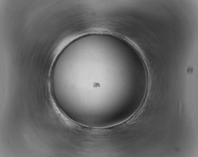 X0000111661440200907171559