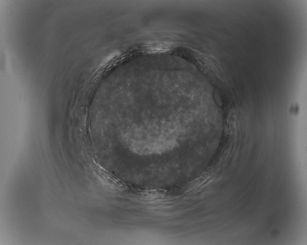 X0000111661441200907171558