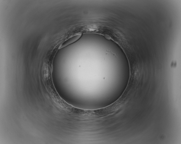 X0000111661442200907171558