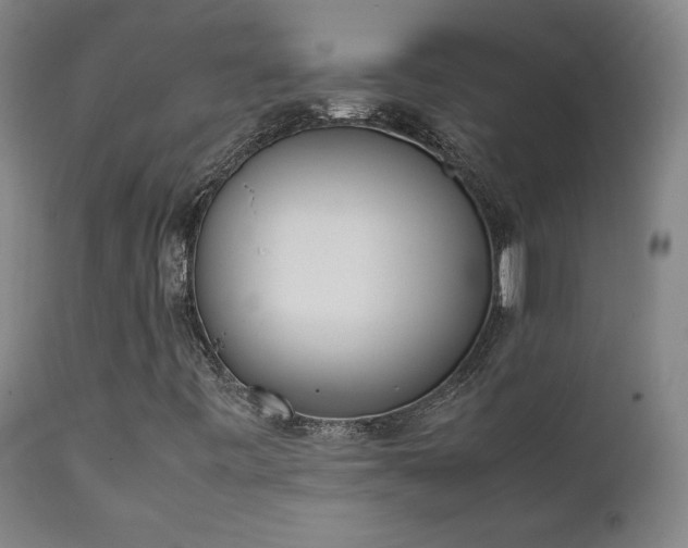 X0000111661443200907171558