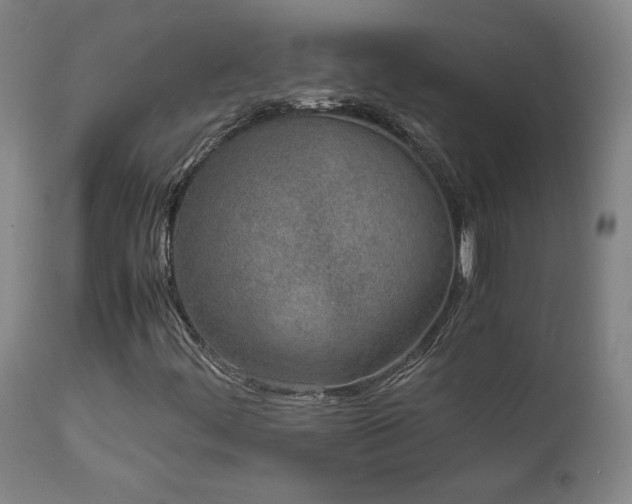 X0000111661444200907171558