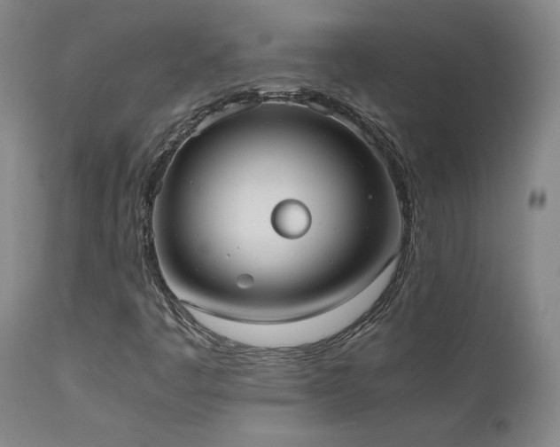 X0000111661445200907171558