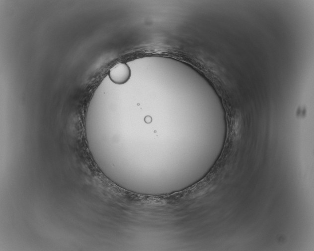 X0000111661446200907171558