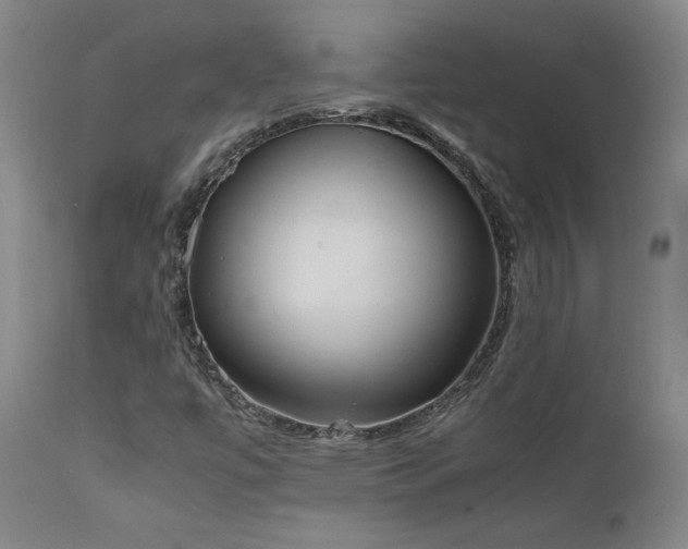 X0000111661447200907171558