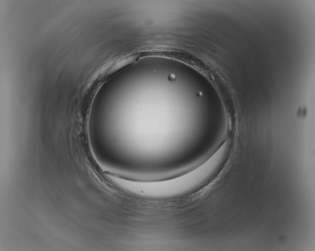 X0000111661449200907171558