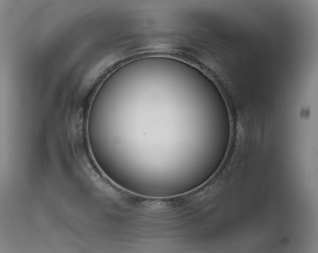 X0000111661450200907171558