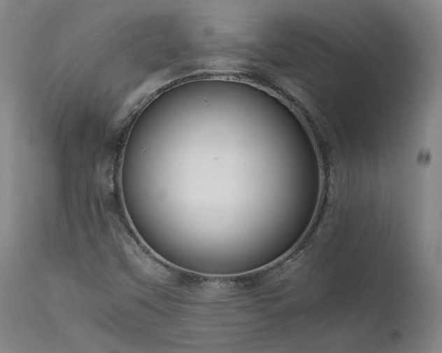 X0000111661451200907171558