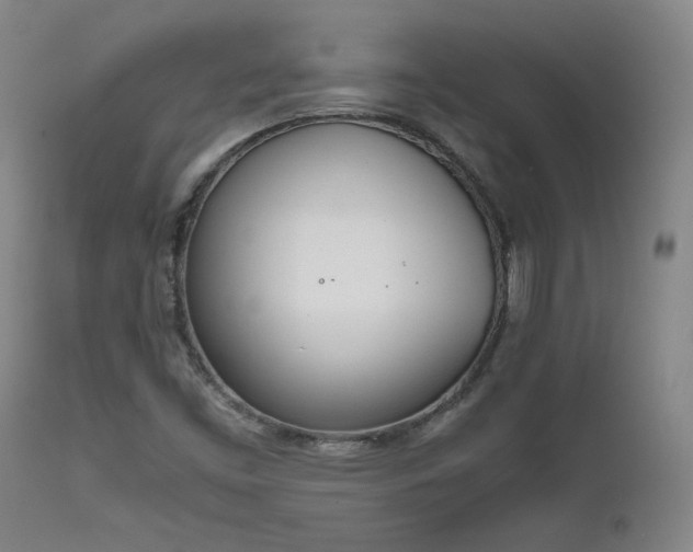 X0000111661453200907171558
