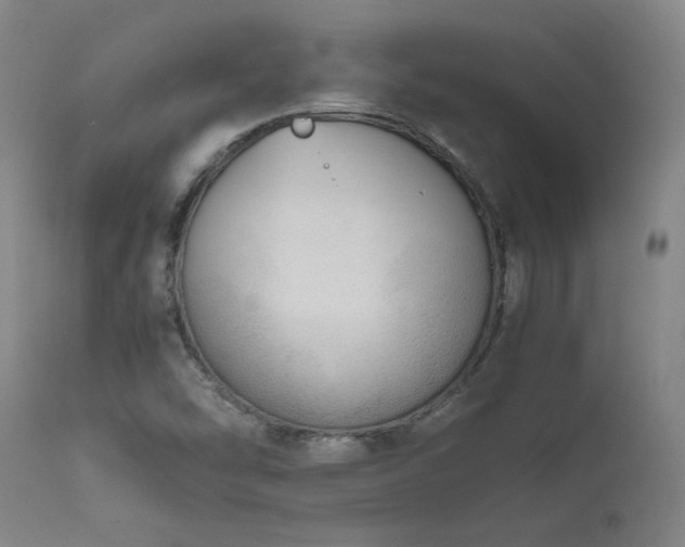 X0000111661454200907171558