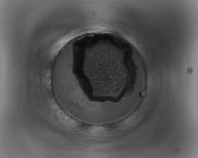 X0000111661455200907171557