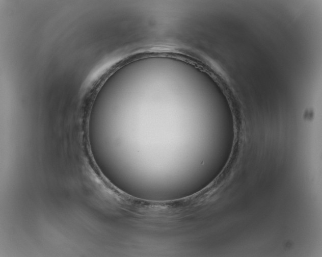 X0000111661456200907171557