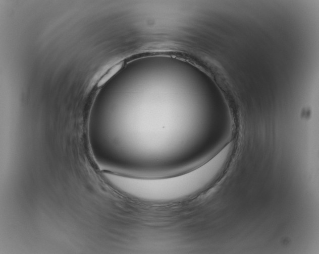 X0000111661457200907171557