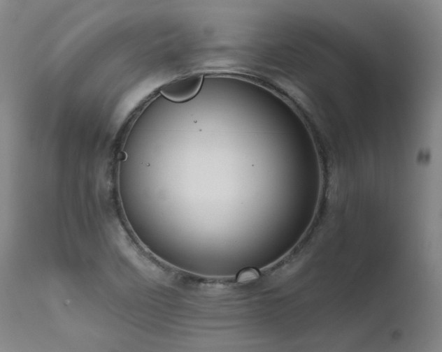 X0000111661458200907171557