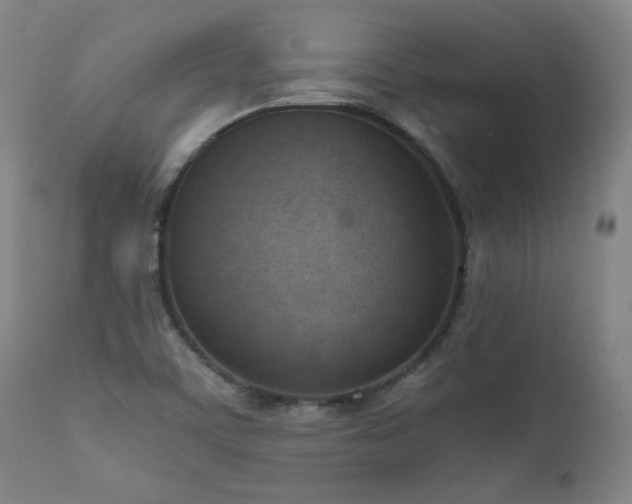 X0000111661459200907171557