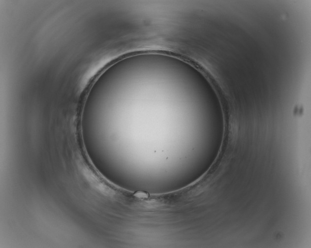 X0000111661460200907171557