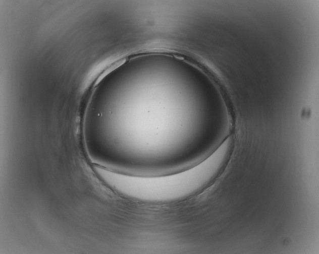 X0000111661461200907171557