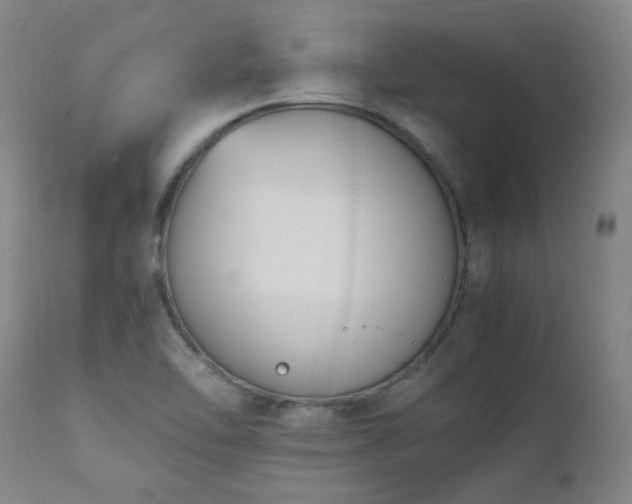 X0000111661462200907171557