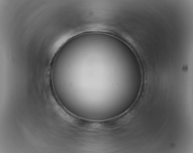 X0000111661463200907171557