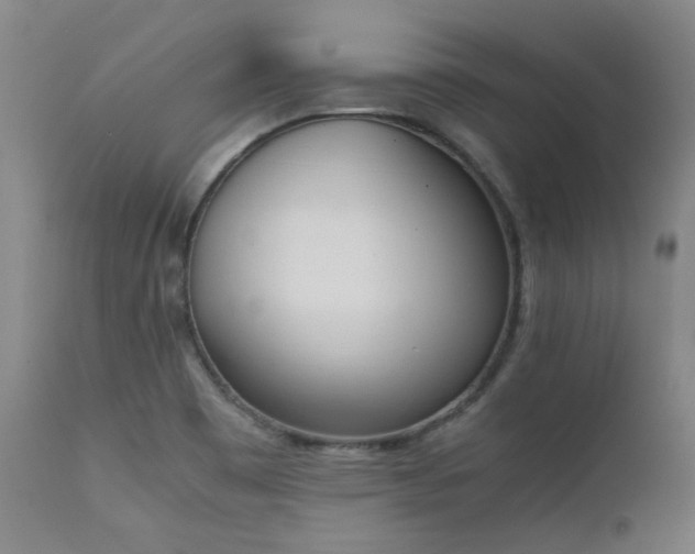 X0000111661465200907171557