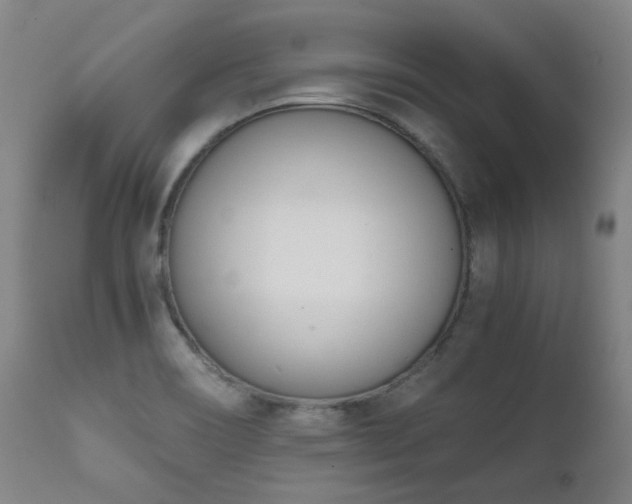 X0000111661466200907171557