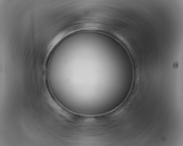 X0000111661467200907171557