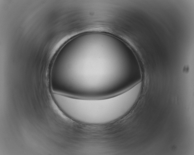 X0000111661468200907171557
