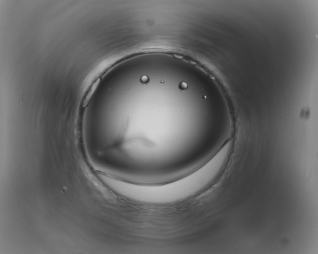 X0000111661469200907171557
