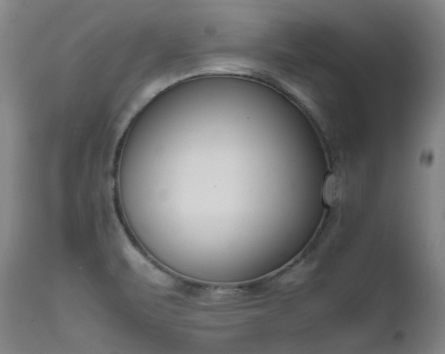 X0000111661471200907171557