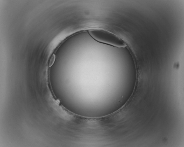 X0000111661472200907171557