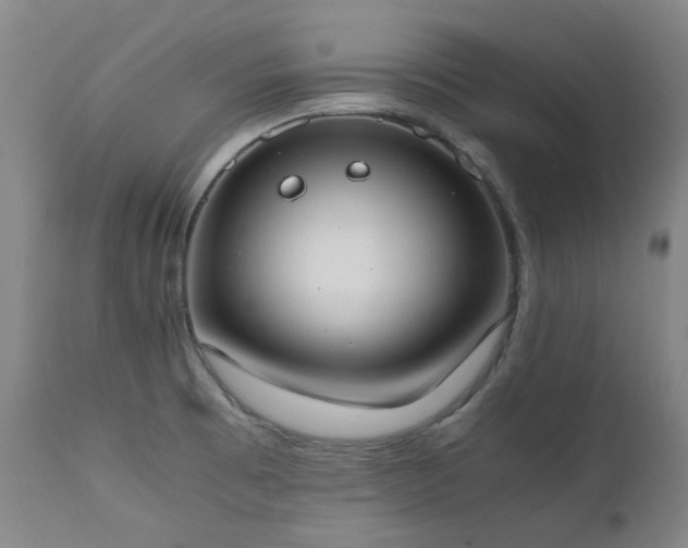 X0000111661473200907171557