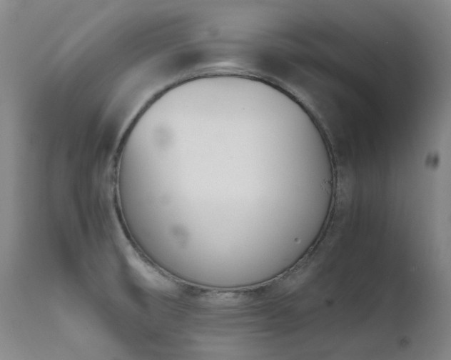 X0000111661474200907171557