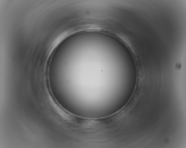 X0000111661475200907171557