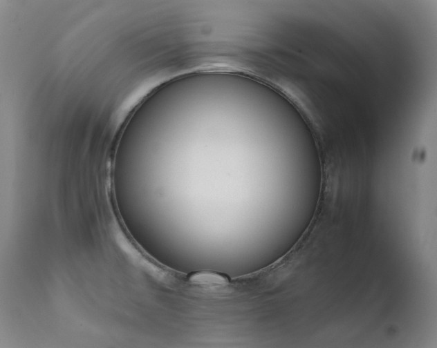 X0000111661476200907171557