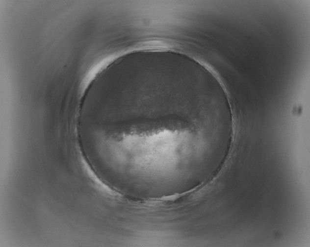X0000111661477200907171557
