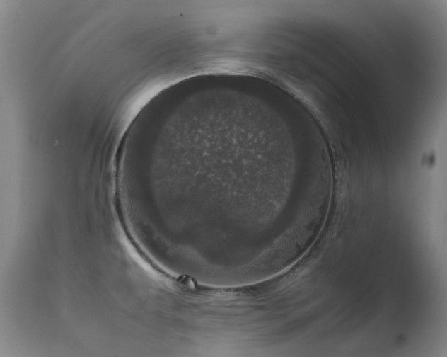X0000111661479200907171557