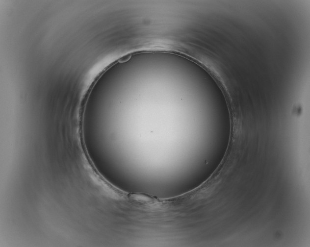 X0000111661480200907171557