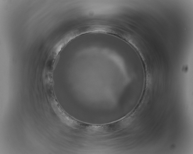X0000111661481200907171557